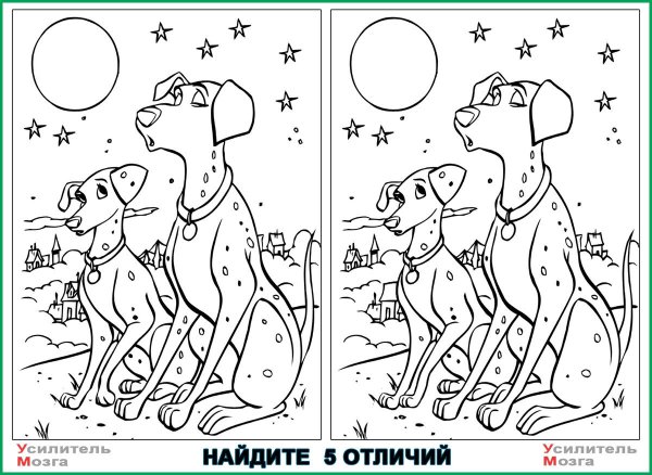 Задания Найди отличия для взрослых