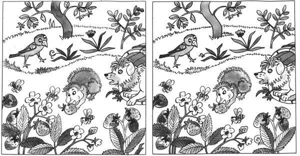 Задания Найди отличия