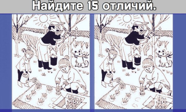 Загадки Найди отличия