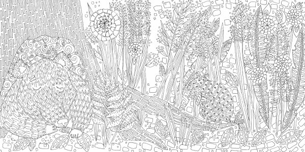 Раскраски очень сложные и красивые