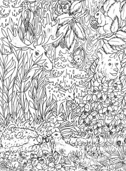 Спрятанные животные