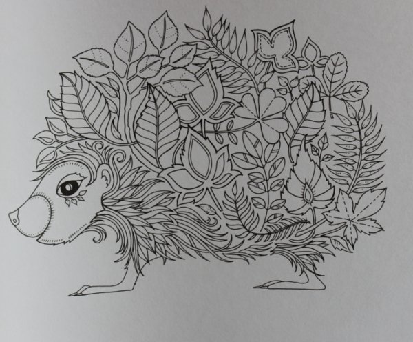 Раскраска антистресс Ежик