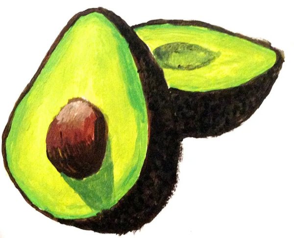Авокадо фото рисунок