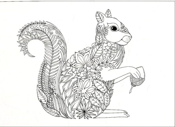 Мандала животные