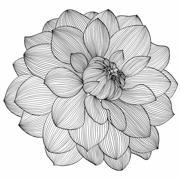 Цветы. Раскраска