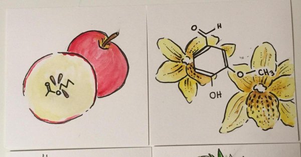 Ассоциации по запахам рисунок
