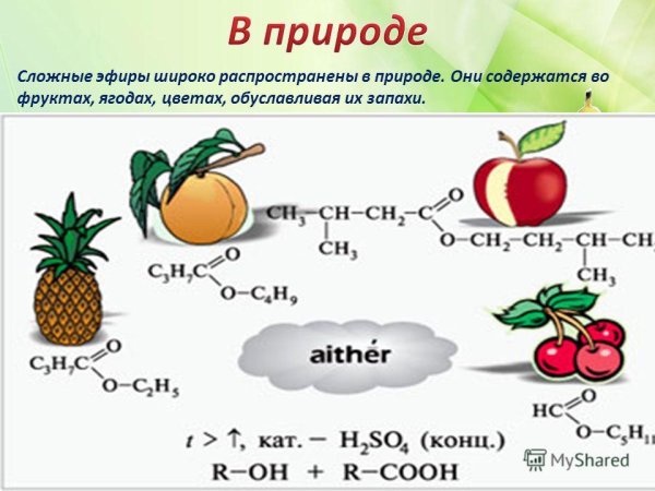 Запах груши сложный эфир