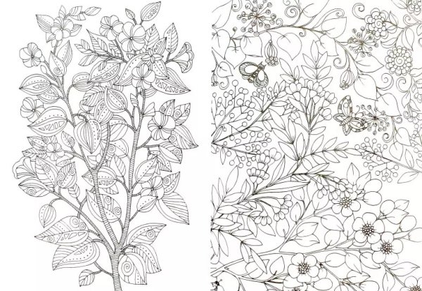 Раскраска антистресс "цветы"