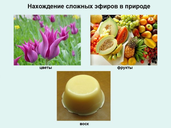 Физические свойства сложных эфиров и жиров