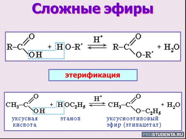 Сложные эфиры химия 10 класс химические свойства