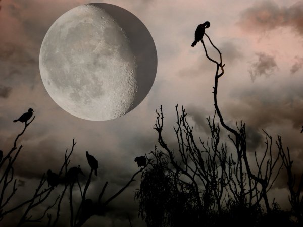 Страшная Луна