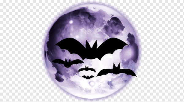 Летучая мышь мистика