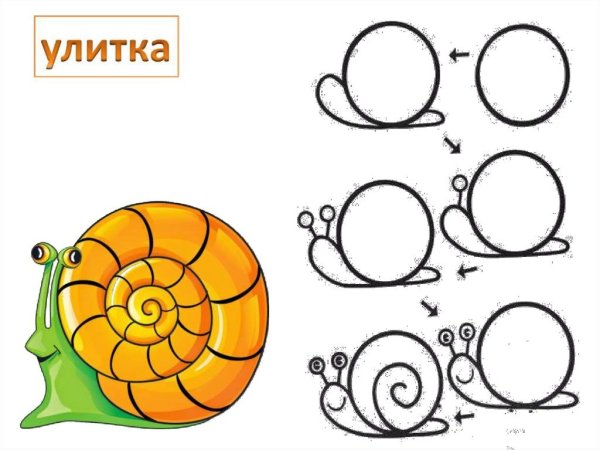 Рисунок из окружностей улитка