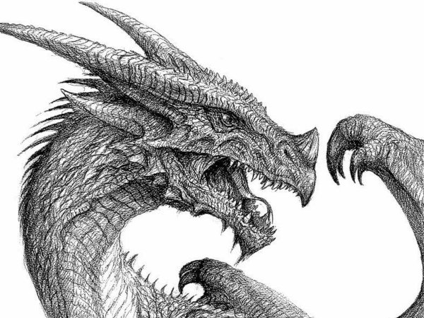 Дракон рисунок
