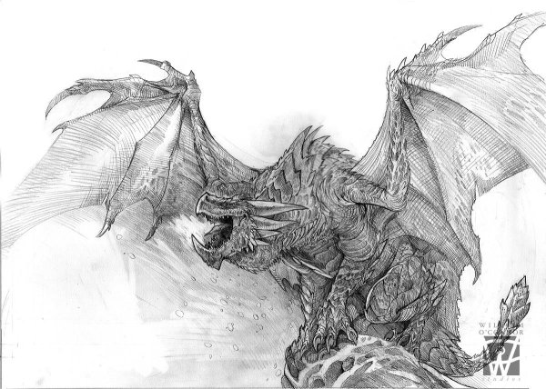 Дракон карандашный рисунок