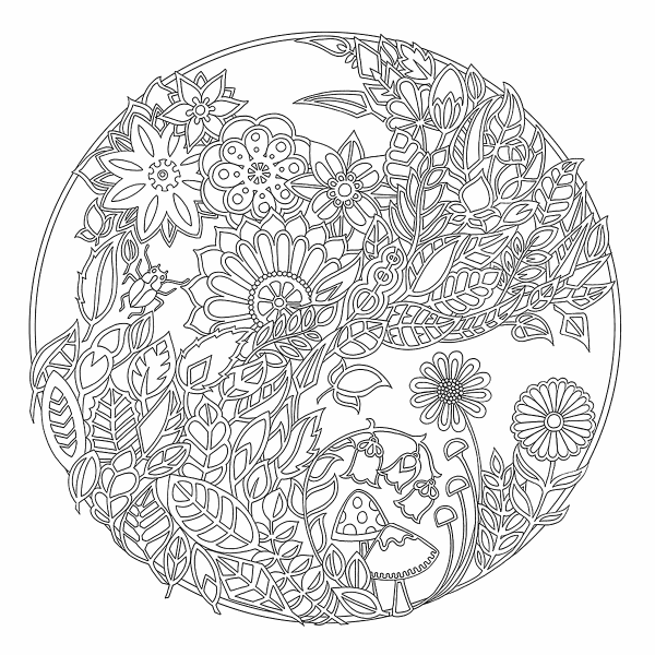 Джоанна Бэсфорд таинственный лес