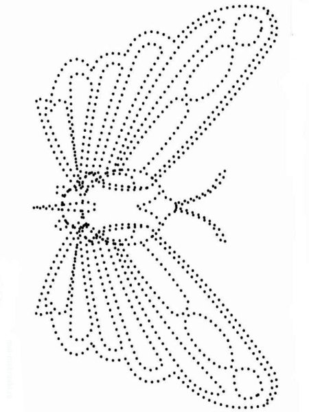 Обводка по точкам сложная