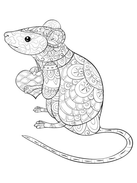 Раскраска антистресс крыса