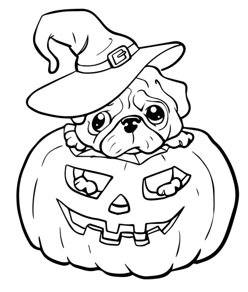 Рисунки на Хэллоуин для срисовки