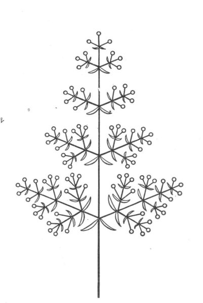 Соцветие метелка