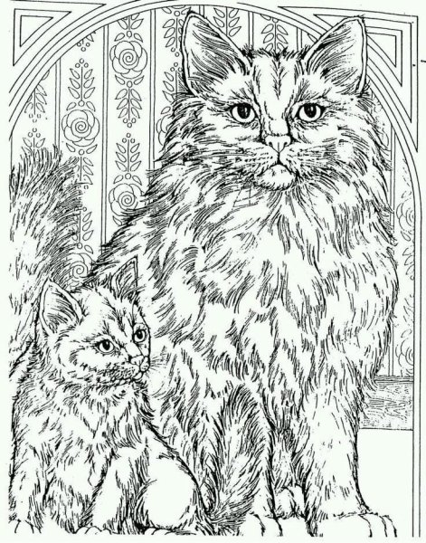 Мандала котик