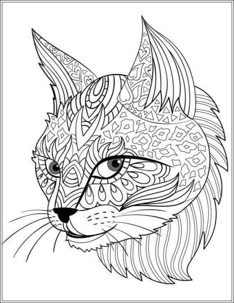 Кошки. Раскраска