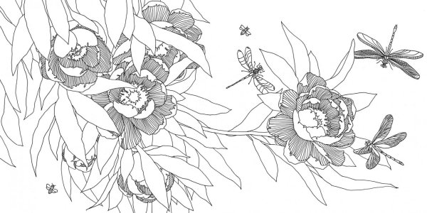 Раскраски для взрослых цветы