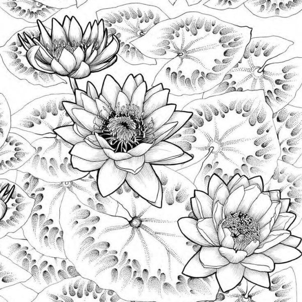 Раскраска для взрослых Лотос
