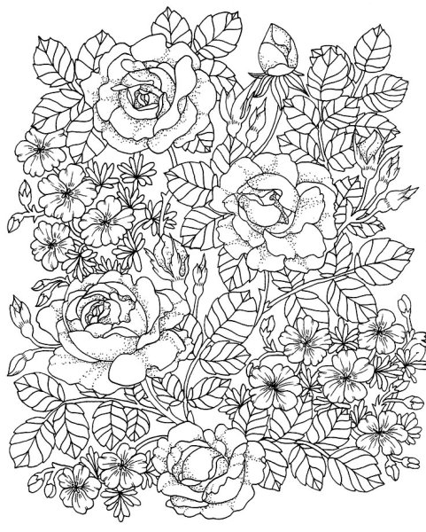 Раскраска цветы сложные