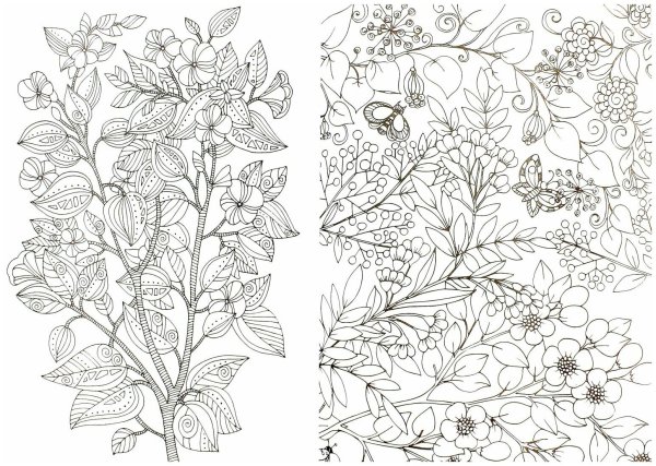 Раскраска антистресс