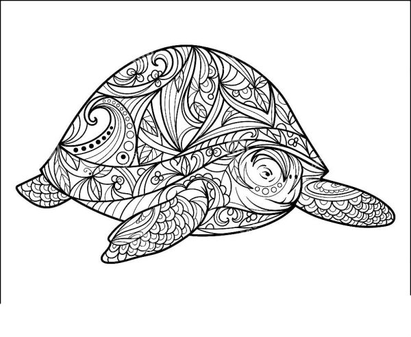 Раскраска Мандала для детей черепаха