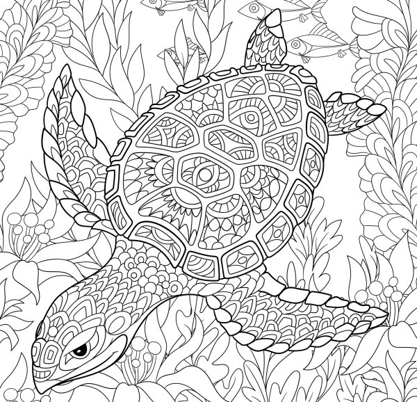 Раскраски для девочек Черепашки антистресс