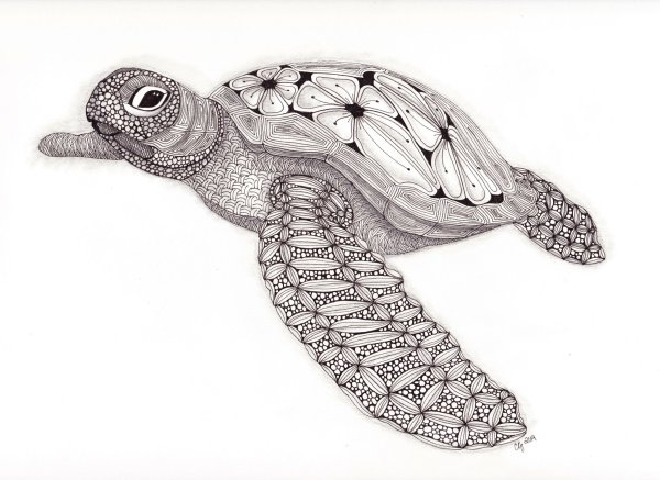 Черепаха Зентангл