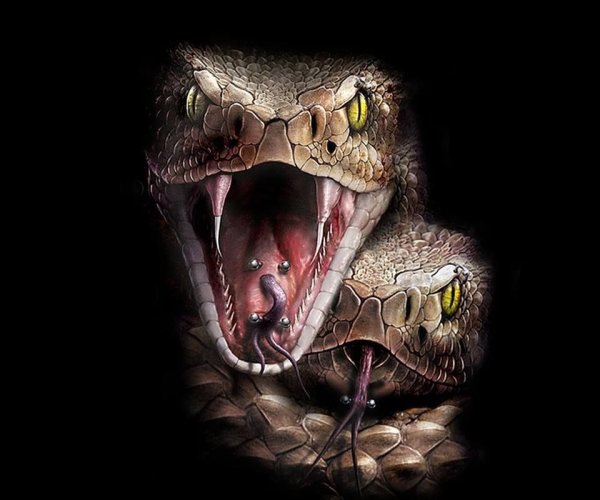 Оскал кобры