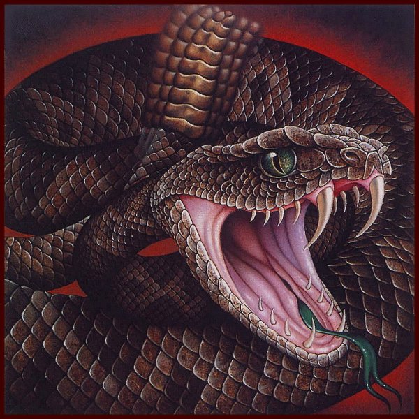 Королевская Кобра Нагайна