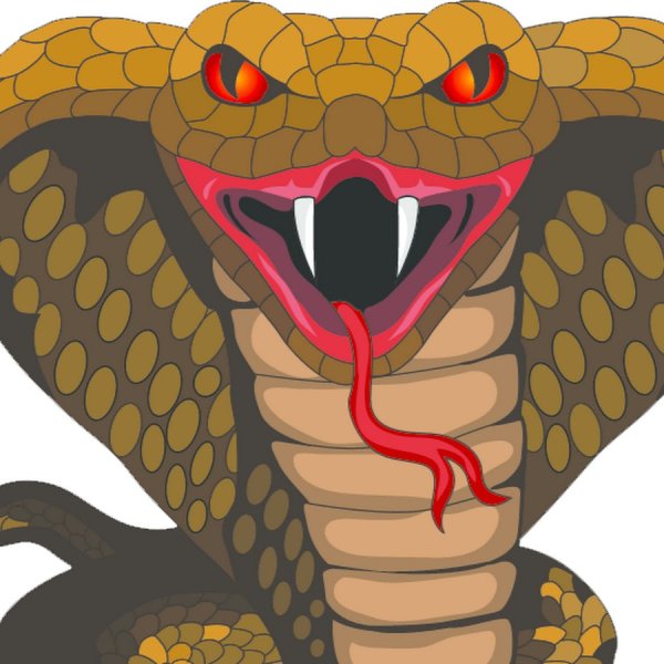 Кобра рисунок