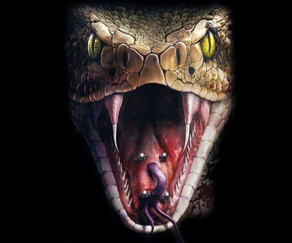 Оскал змеи