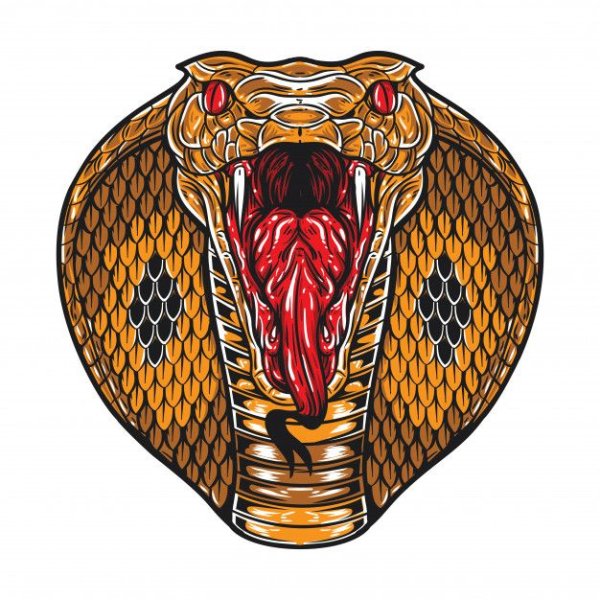 Голова змеи с открытой пастью