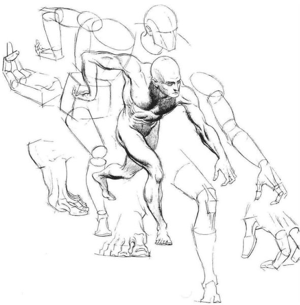 Динамичные позы в перспективе