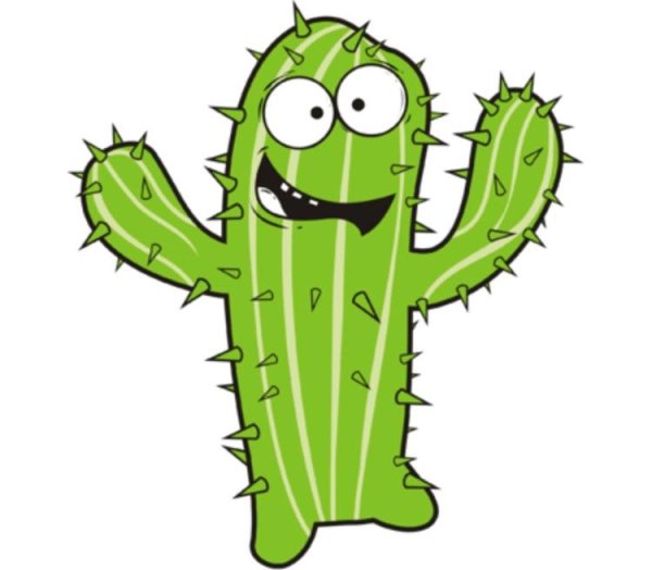 Кактус с глазками