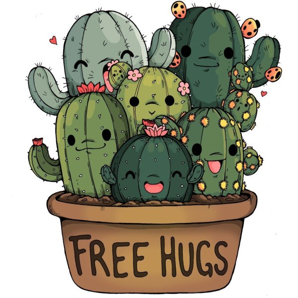 Веселый Кактус