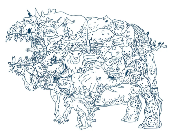 Спрятанные животные