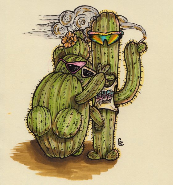 Крошка ева и Спайк Кактус