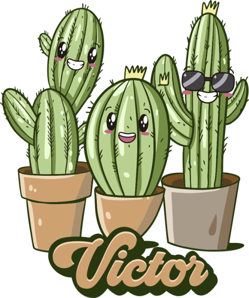 Няшный Кактус