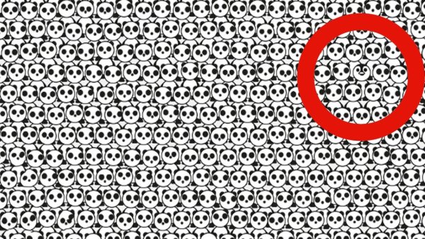 Головоломки для зрения