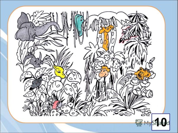 Найди животных на картинке