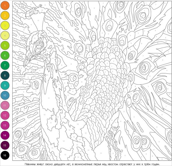 Рисование по номерам сложные