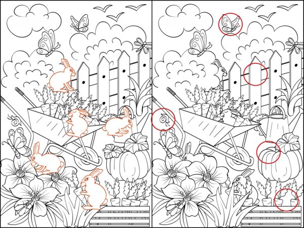 Головоломки на внимательн