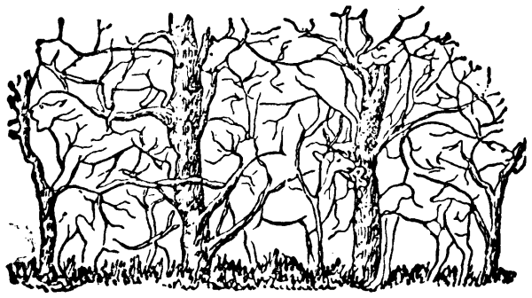 Сколько животных спрятано на картинке