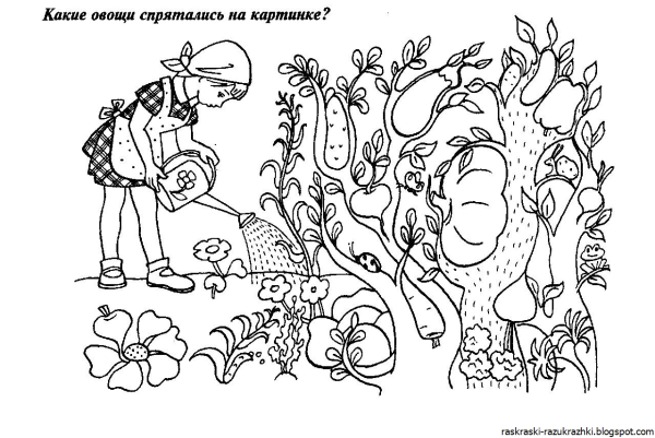 Какие овощи спрятольсь на кортинки